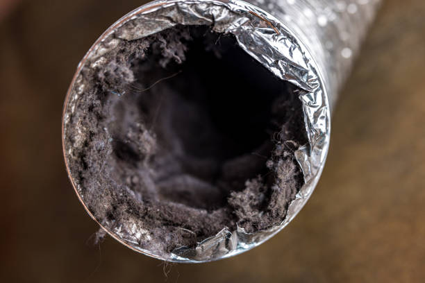 Best Affordable HVAC Duct Cleaning  in Newberry, MI